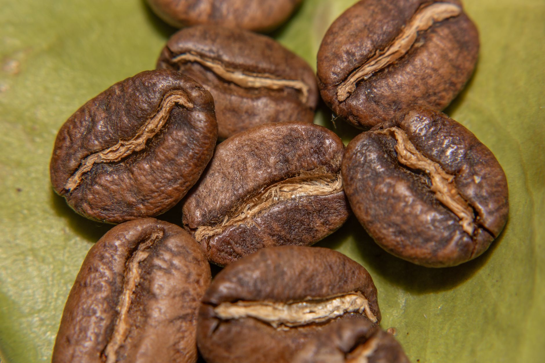 Roasted Colombian coffee beans