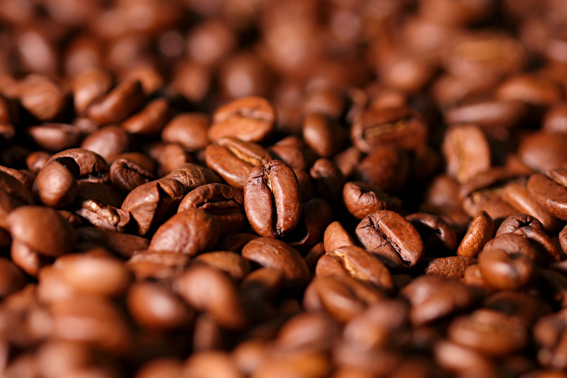 Ethiopian coffee beans